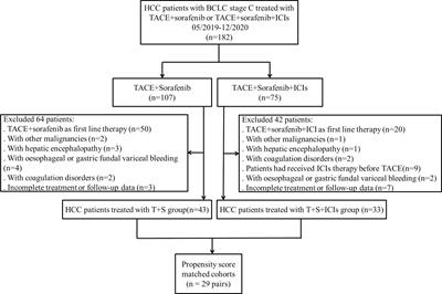 Efficacy and safety of transarterial chemoembolization combining sorafenib with or without immune checkpoint inhibitors in previously treated patients with advanced hepatocellular carcinoma: A propensity score matching analysis